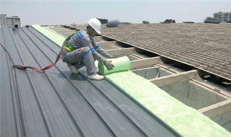 Roof Replacement 1